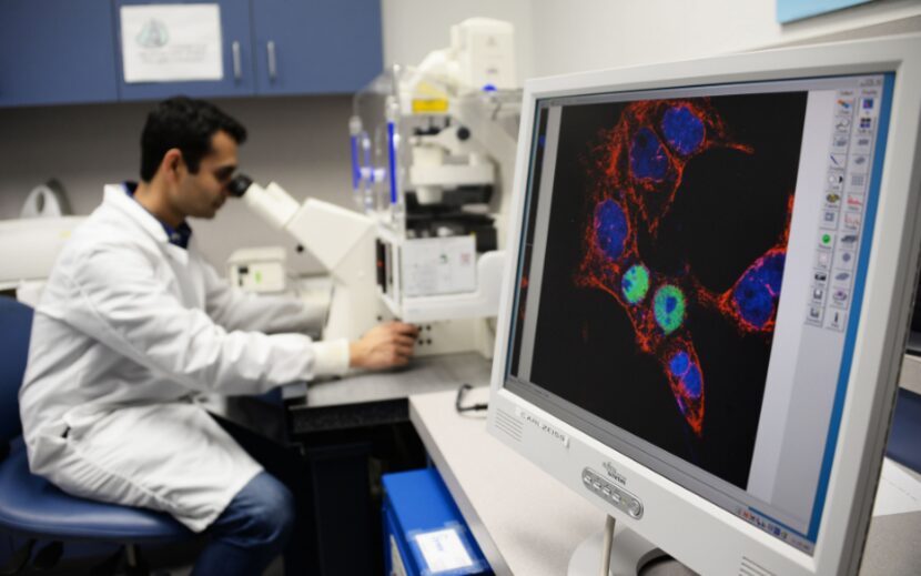 A researcher looks into a microscope with a screen displaying the contents.