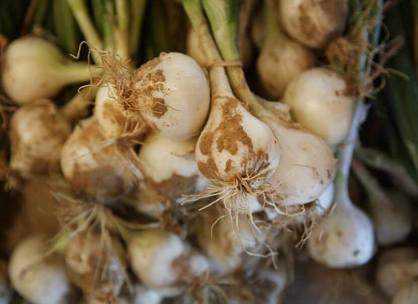 Onions from Gandy Farms in Edom, Texas, at The Farmacy.