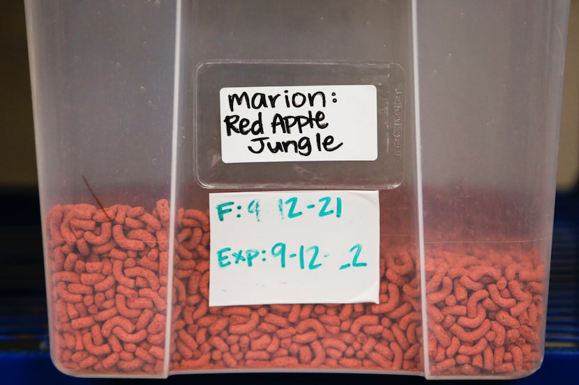 Dry bird food sits in a container at the Dallas Zoo.