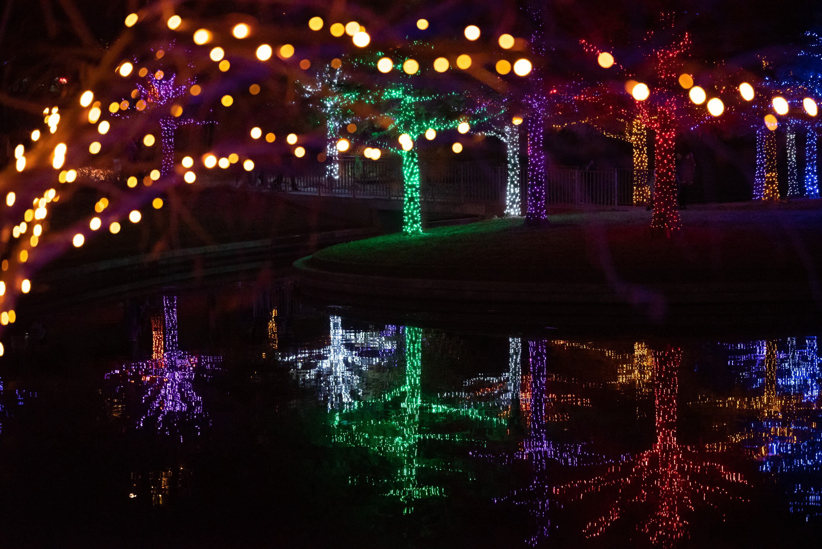 Stroll through Vitruvian Park’s 12 acres to see more than 550 illuminated trees wrapped in...