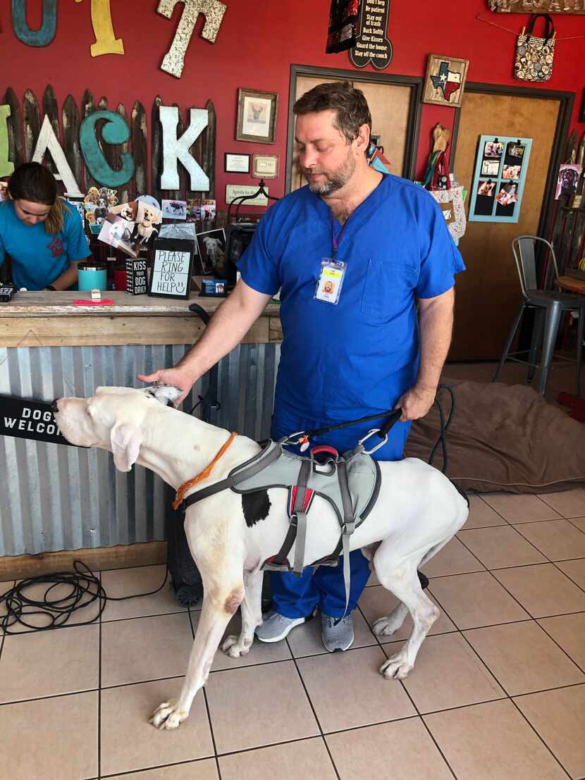 Todd Johnson picking up Samson at the now-closed Mutt Shack after a day of work. The man and...