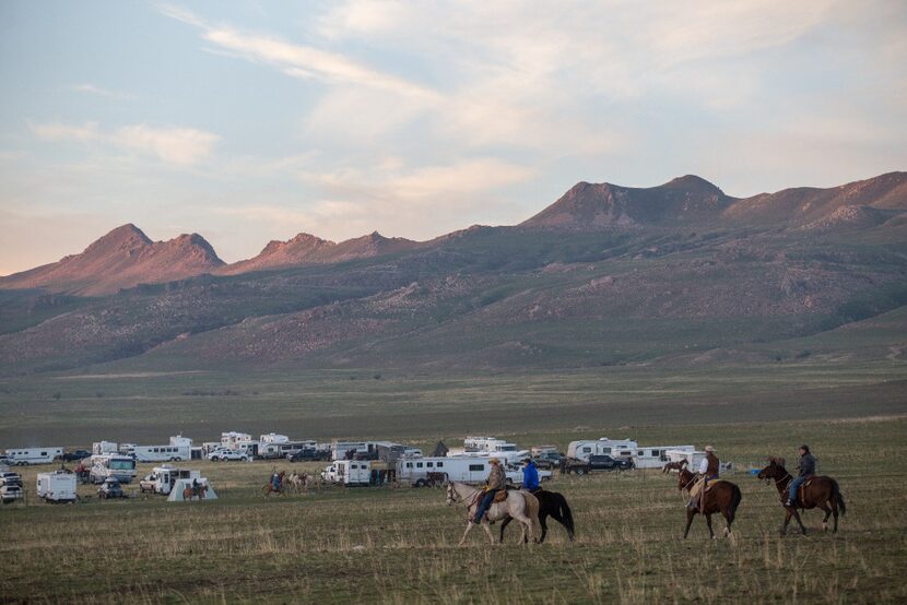 Antelope Island's annual bison roundup in Utah. 