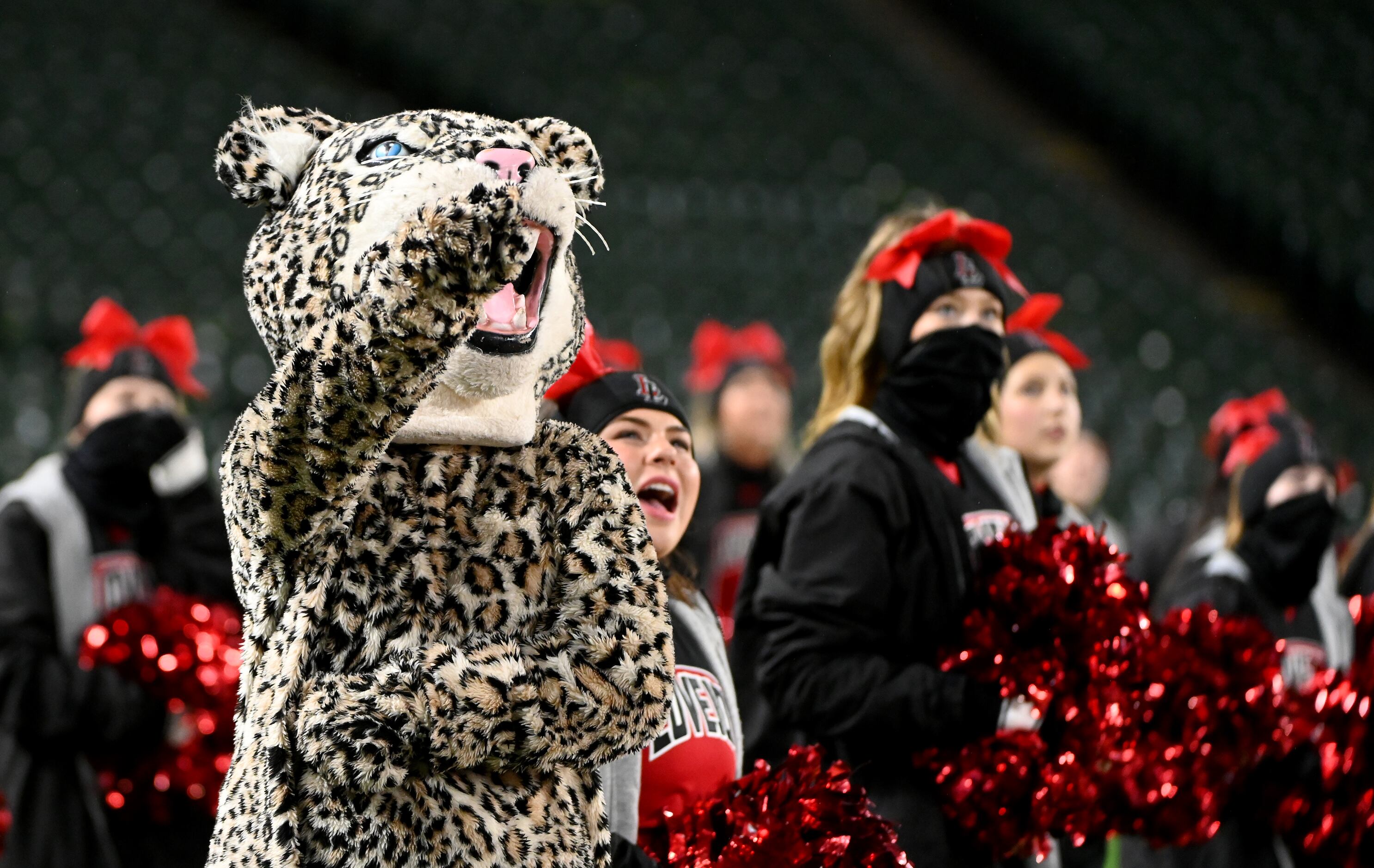 The Lovejoy Leopard watches the video board with Lovejoy cheerleaders in the first quarter...