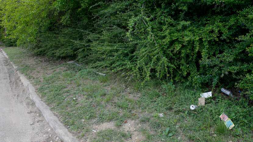 Overgrown underbrush and trash lined Valley Glen Drive near the Samuell Boulevard end of the...