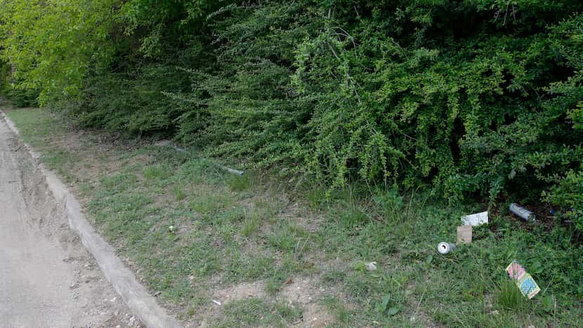 Overgrown underbrush and trash lined Valley Glen Drive near the Samuell Boulevard end of the...