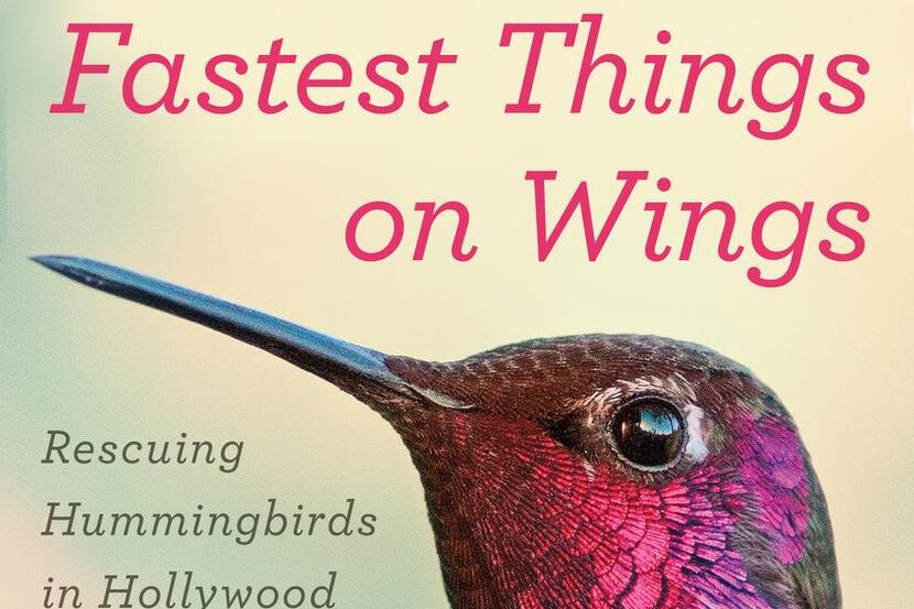 
Fastest Things on Wings, by Terry Masear
