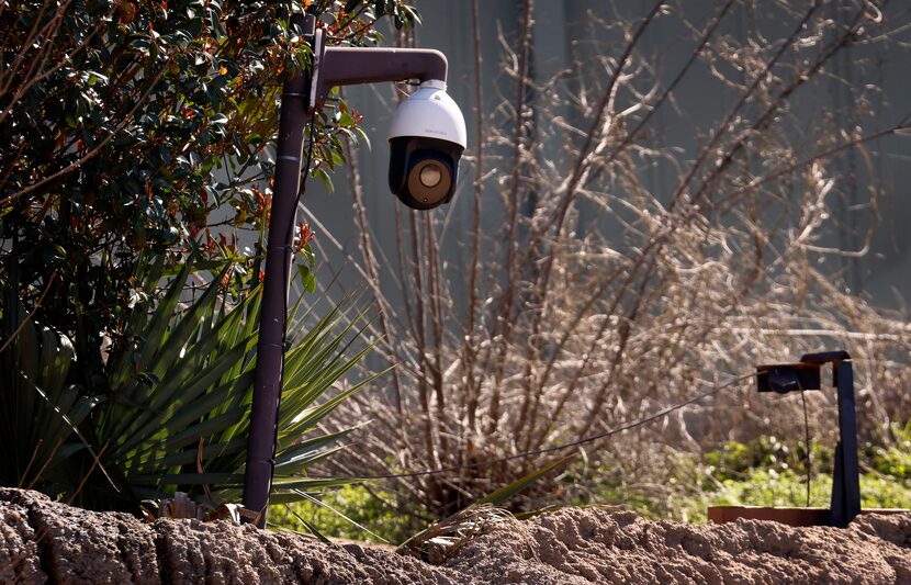 An enclosure camera is trained on the hippopotamuses at the Dallas Zoo, February 9, 2023.