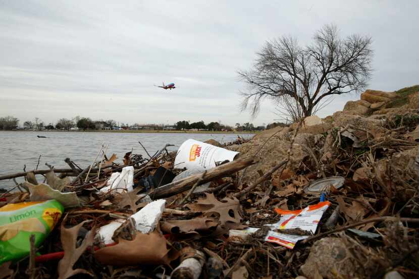 Trash on the shoreline at Bachman Lake. The real trouble lies, mostly hidden, at the center...