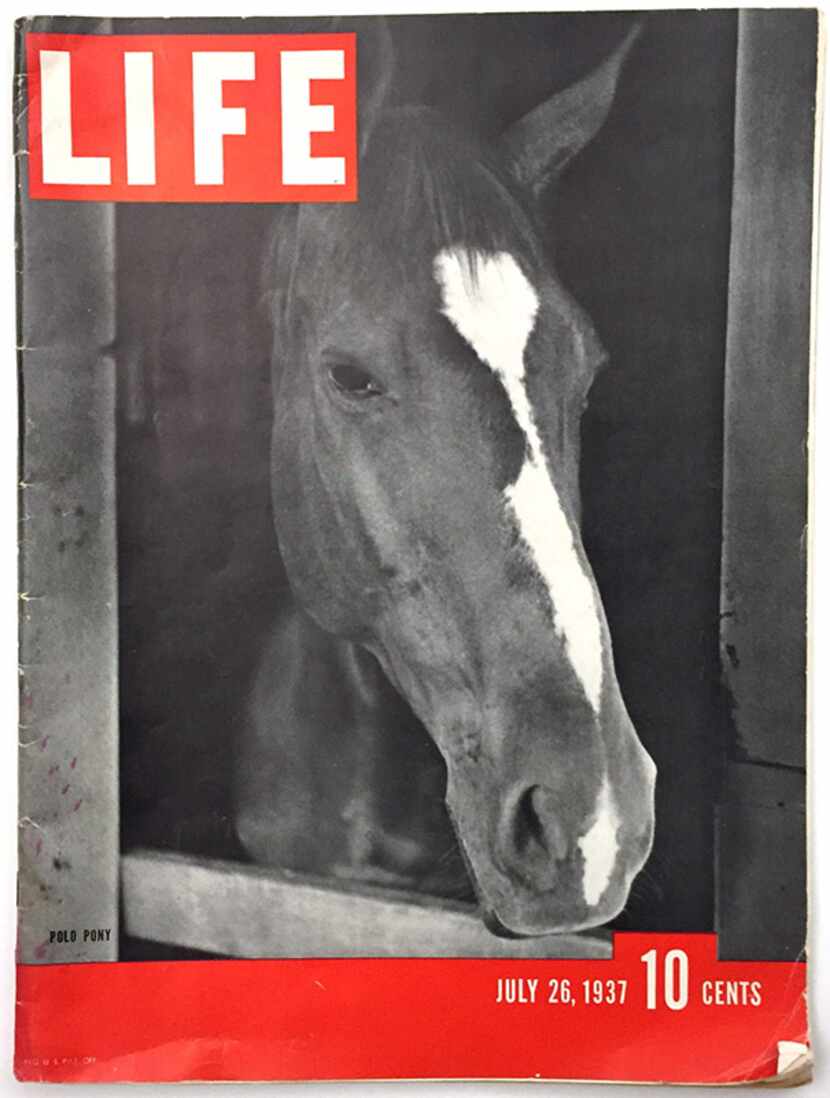  July 26, 1937 LIFE cover shows a polo pony photographed by Alfred Eisenstaedt.