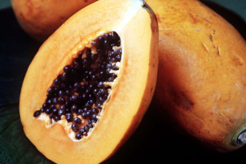 Papayas are grown in tropical climates, and thus are available year-round.
