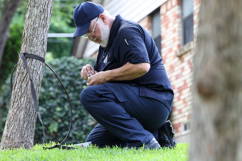 A City of Dallas Animal Service Officer removes a camera from a tree two doors down from...
