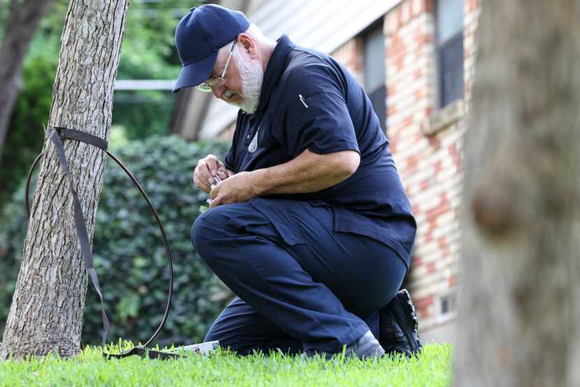 A city of Dallas Animal Services officer removed a camera from a tree two doors away from...