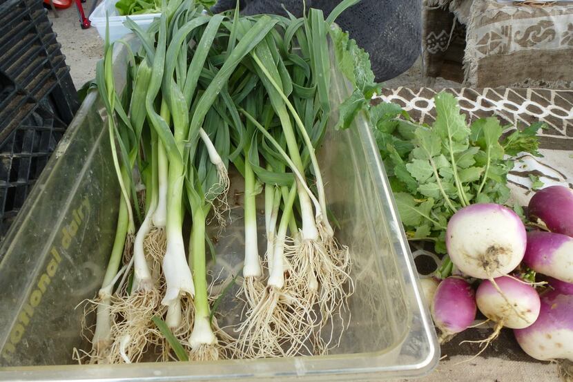 Wolfsong Farm in Forney harvested leeks and turnips at White Rock Farmers Market.