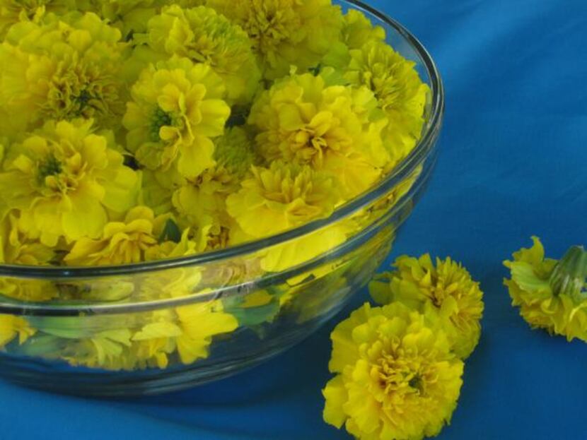 
Simmer marigold flowers to create a natural dye. 
