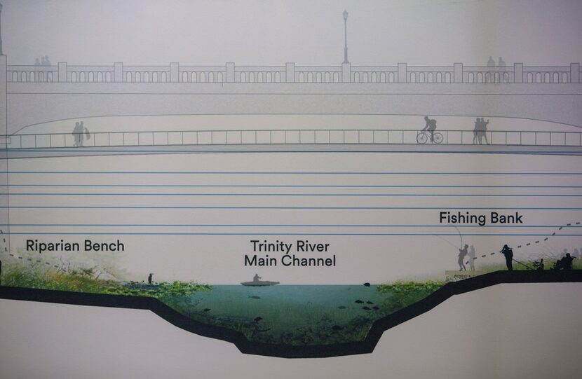 A portion of illuminated wall plans for a park inside the Trinity River levees -- this...