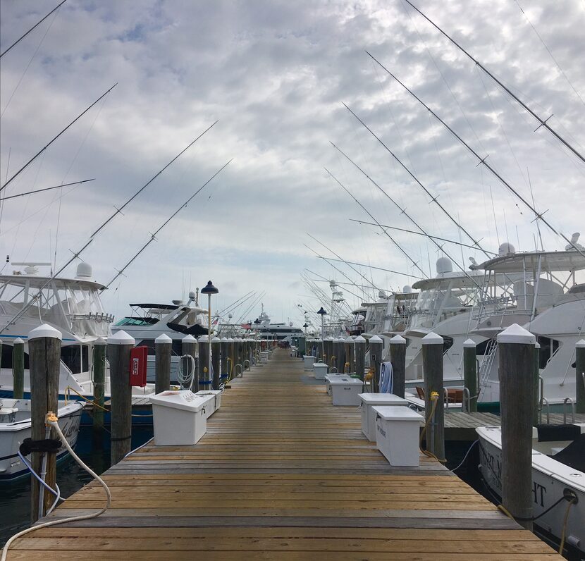 You can watch the boats come in in Montauk, N.Y.