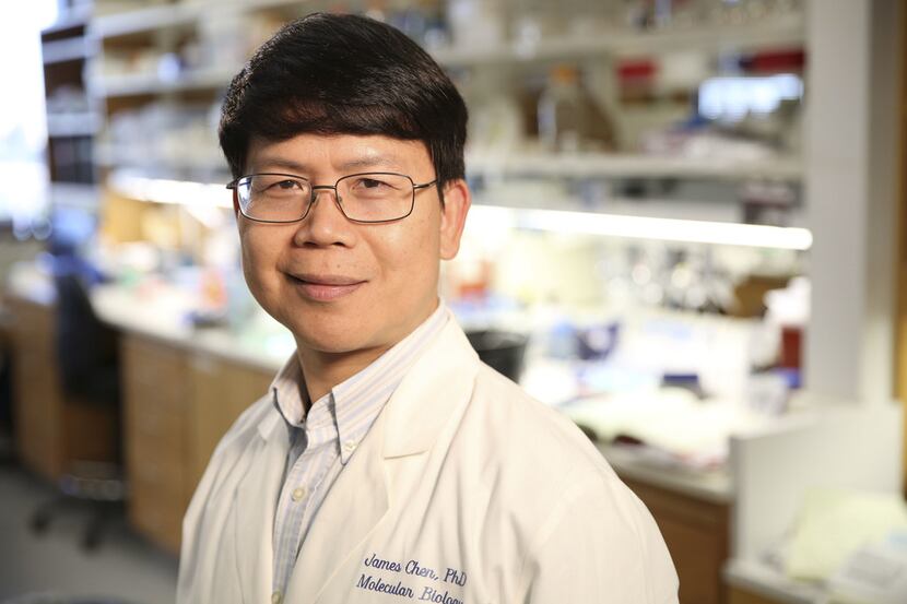 UT Southwestern molecular biology professor Zhijian "James" Chen is one of this year's...