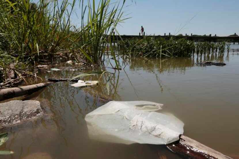 
Removing disposable bags from White Rock Lake and elsewhere in Dallas is a waste of city...