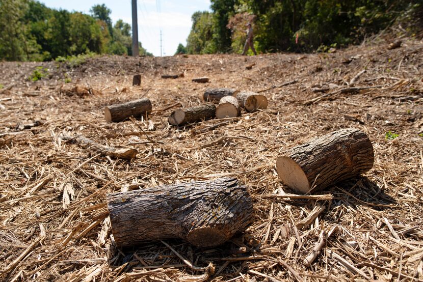 An Oncor spokeswoman said the work performed by its contractors at the hatchery site last...