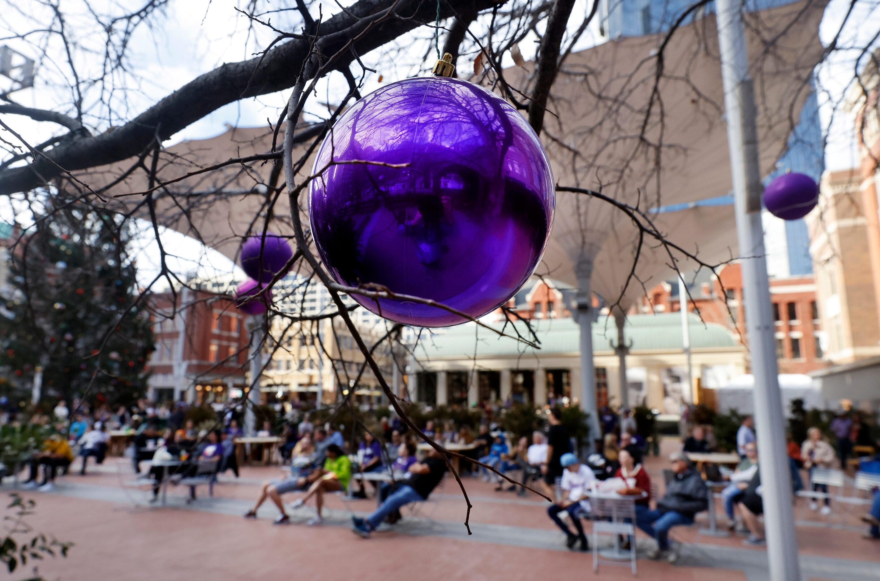 Large purple Christmas balls filled the tress near the TCU Horned Frogs outdoor CFP watch...