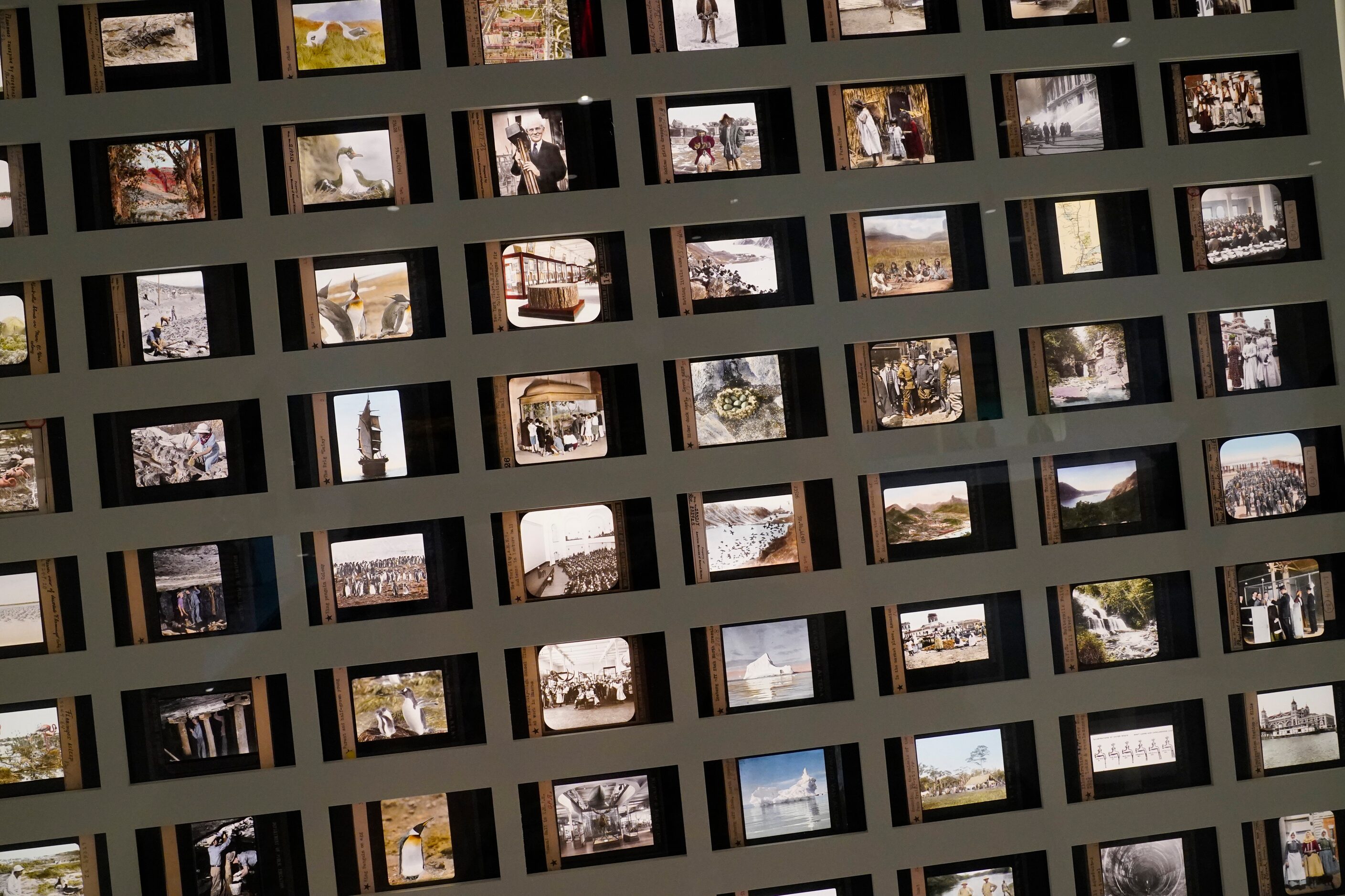 Lantern slides are on display during a media preview of the Richard Gilder Center for...