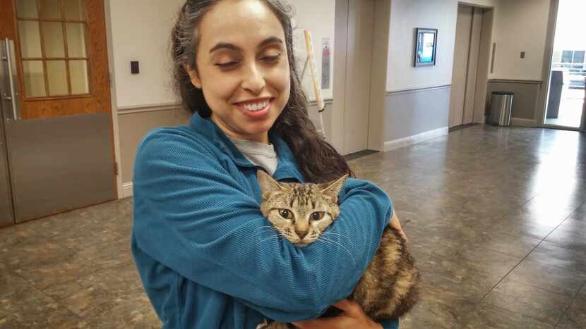  Noura Jammal of the Richardson Animal Shelter holds Uma, a two-year-old cat up for adoption.