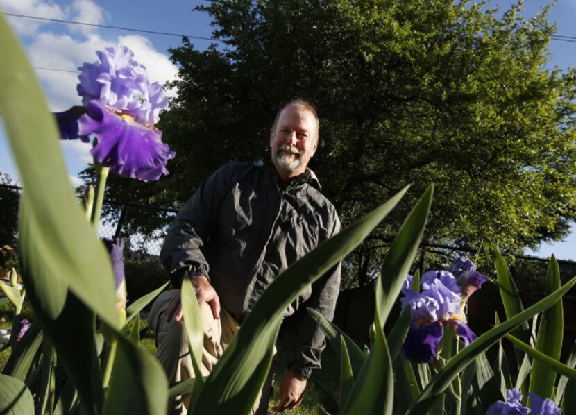 Michael Reed is president of the Dallas Iris Society and has been working on a, public iris...