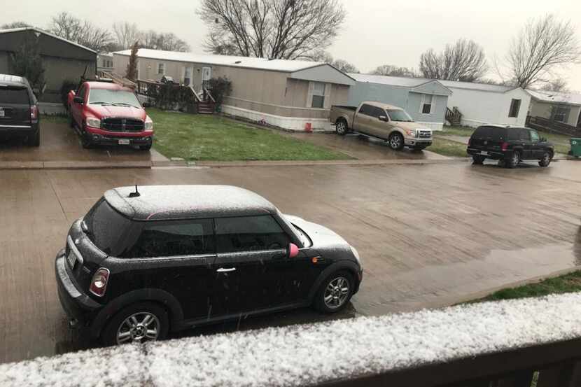 Por segunda vez en la temporada, el condado de Denton recibió nieve. El 11 de enero hubo...