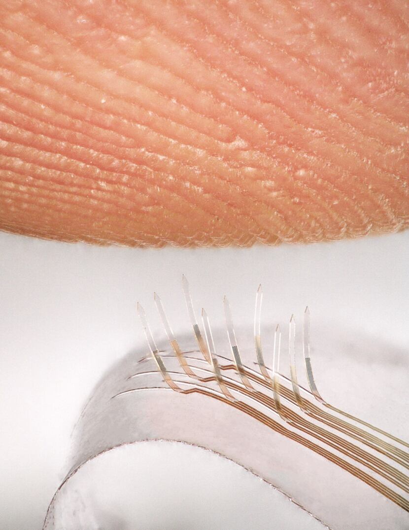 Electronic whiskers created by a team that includes UTD researchers sense a fingerprint.
