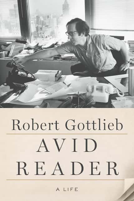 Avid Reader, by David Gottlieb