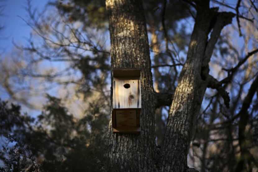 A bird feeder built by local Eagle Scouts hangs from a tree at the Dogwood Canyon Audubon...
