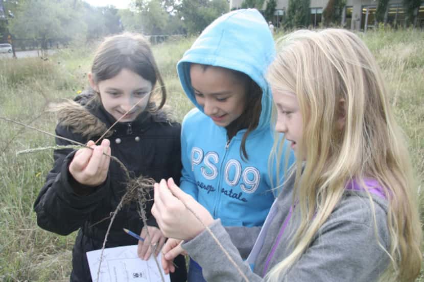 Get up close with nature at the Botanical Research Institute of Texas' Stewardship Day Nov....