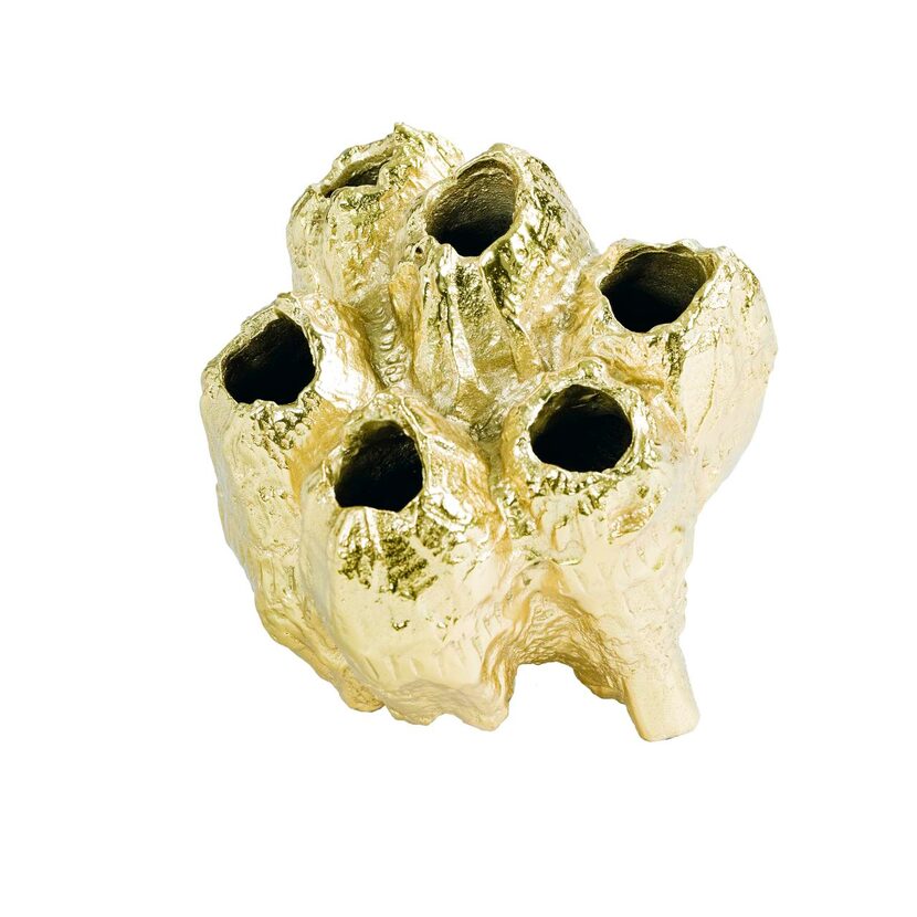 
From the sea: Bringing a touch of glamour to nature, a 5-inch-tall gold barnacle is...