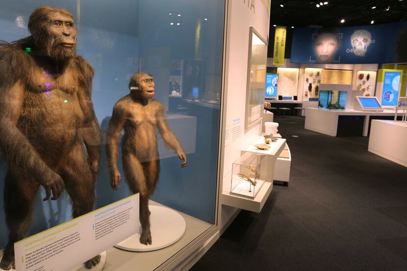 A look at some of the displays in the newly revamped Being Human Hall and the Center for the...