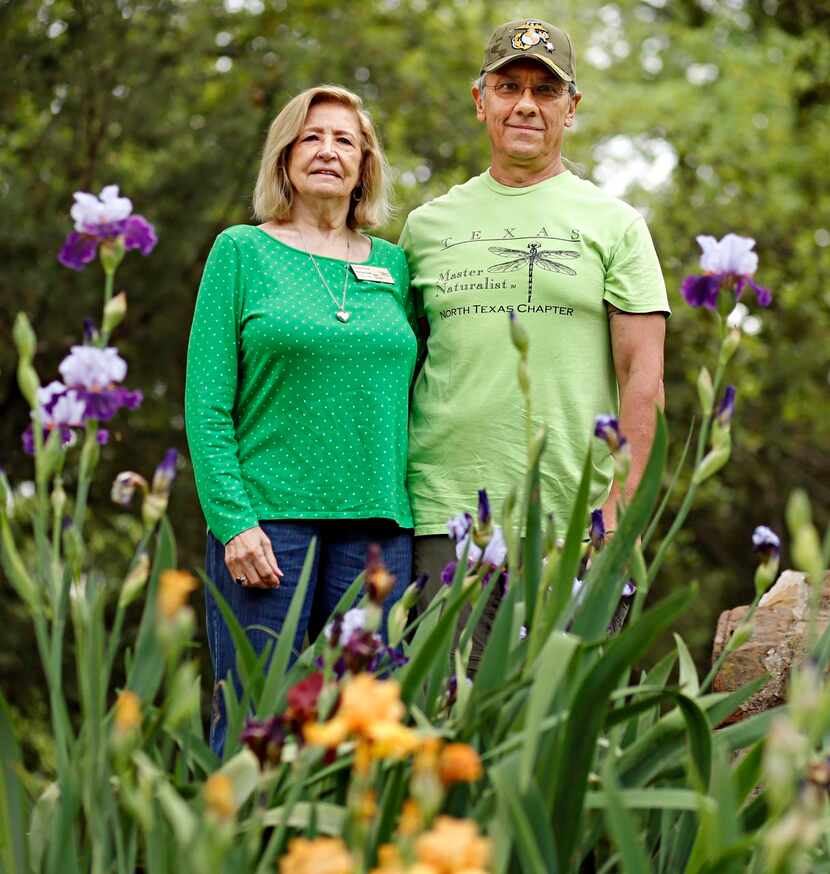 Sharon Bauer (left) and Tom Templeton, long-time volunteers at Reverchon Park, helped...