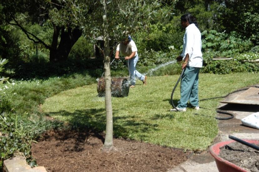 Tree and turf planting are among the subjects covered in the Texas Organic Research Center's...