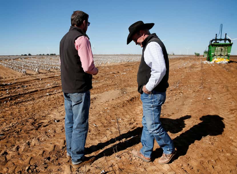 Matt Farmer (right) talks with his son-in-law Garron Morgan while workers harvest their...