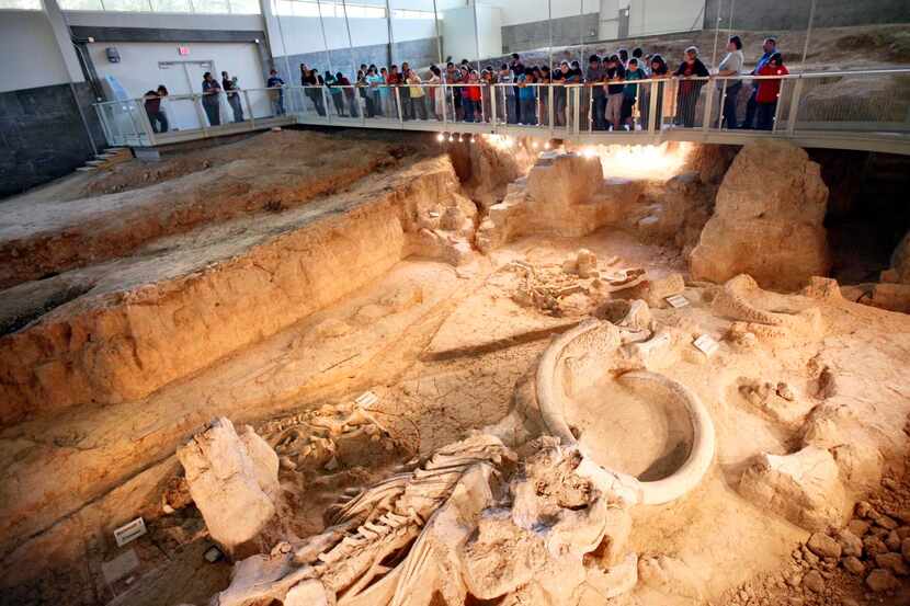 Fifth-graders from West Intermediate School  toured the Waco Mammoth Site during their field...