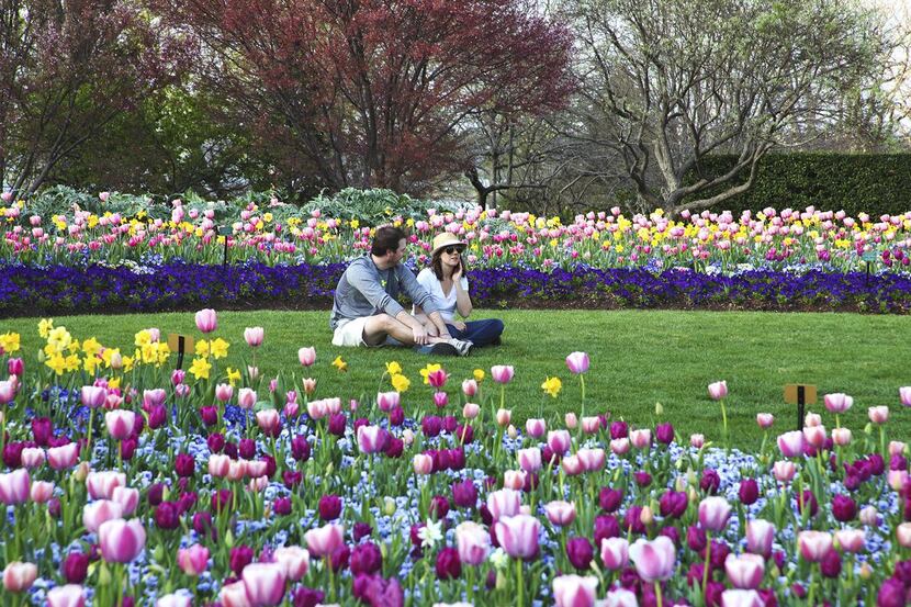 An annual membership to the Dallas Arboretum makes a great gift.