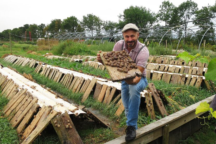 Andreas Gugumuck at his snail farm in Vienna.