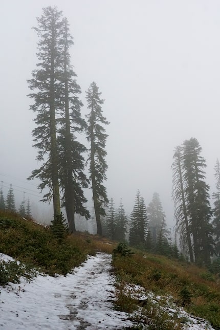 A light coating of snow covers the Mt. Judah Loop Trail at Sugarbowl Ski Resort Saturday,...