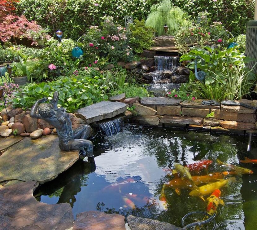 The North Texas Water Garden Society Pond Tour offers day and evening excursions to ponds...