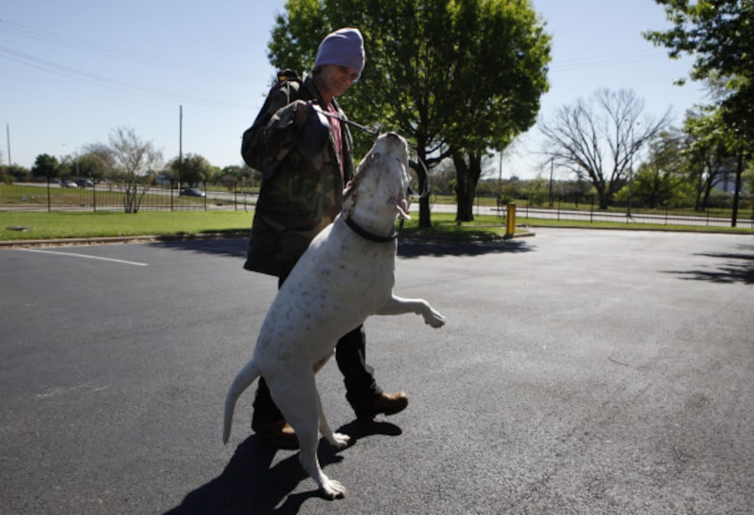 Dan Boone, playing with Rocco, said his dog is a softy, though he can look quite scary when...