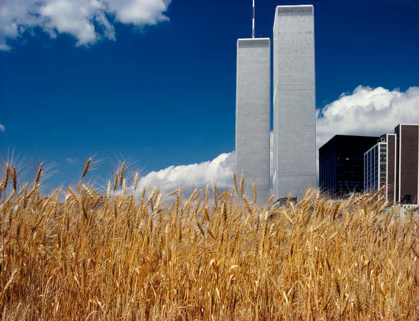 The Nasher exhibition eschews the notable men of Land Art, with their monumental gestures of...