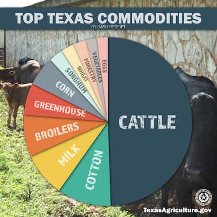 Agricultural sales in Texas average about $20 billion annually, with cattle making up $10.5...
