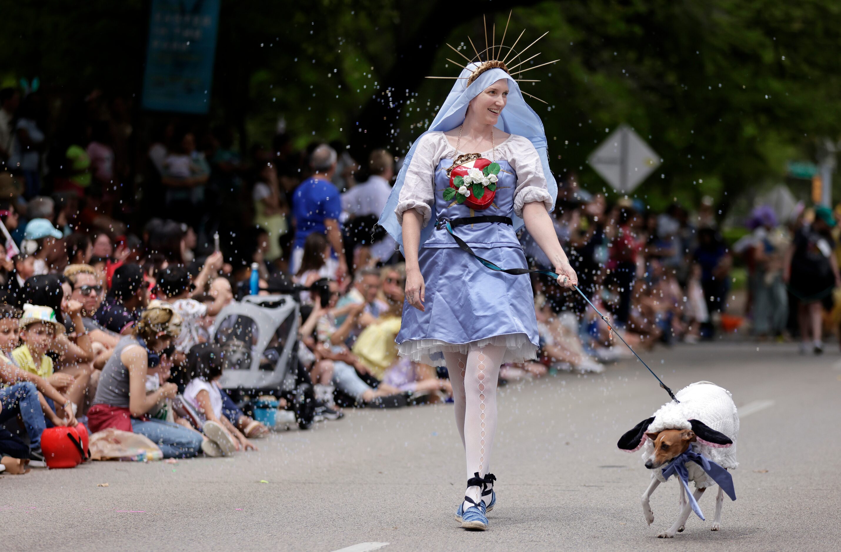 Mother Mary Had A Little Lamb, Amanda Jane Valentine of Dallas, walks her Italian greyhound...