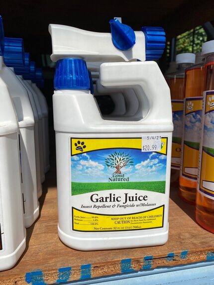 Garlic is available in concentrates and ready-to-use products. Liquid spray mixtures can...