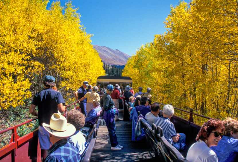 Riders enjoy gilded scenery from an open car on the Leadville, Colorado & Southern Railroad....