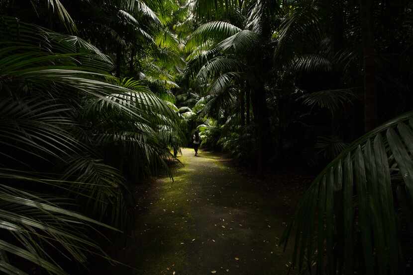 Sao Miguel, the largest and most-visited island of the Azores, boasts lush greenery like...