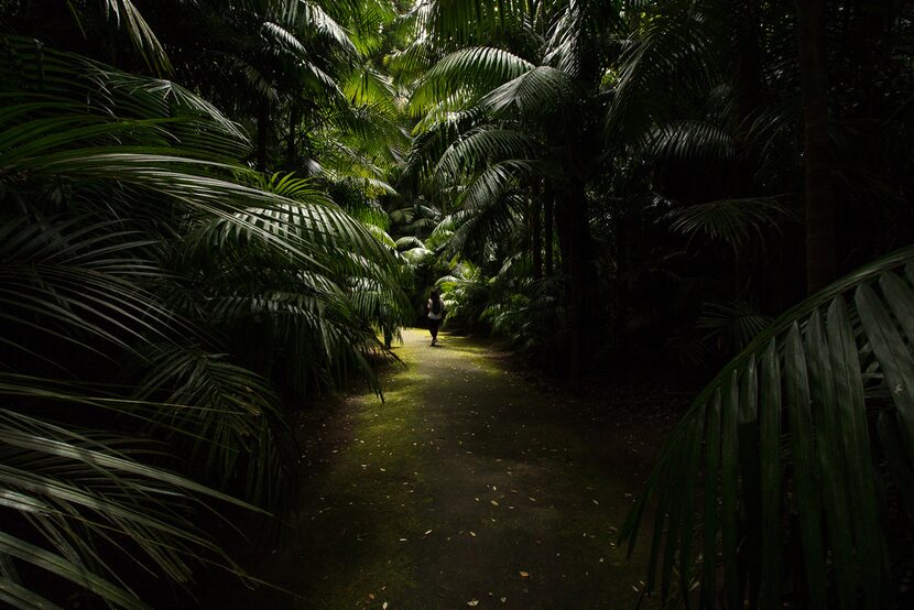 Sao Miguel, the largest and most-visited island of the Azores, boasts lush greenery like...